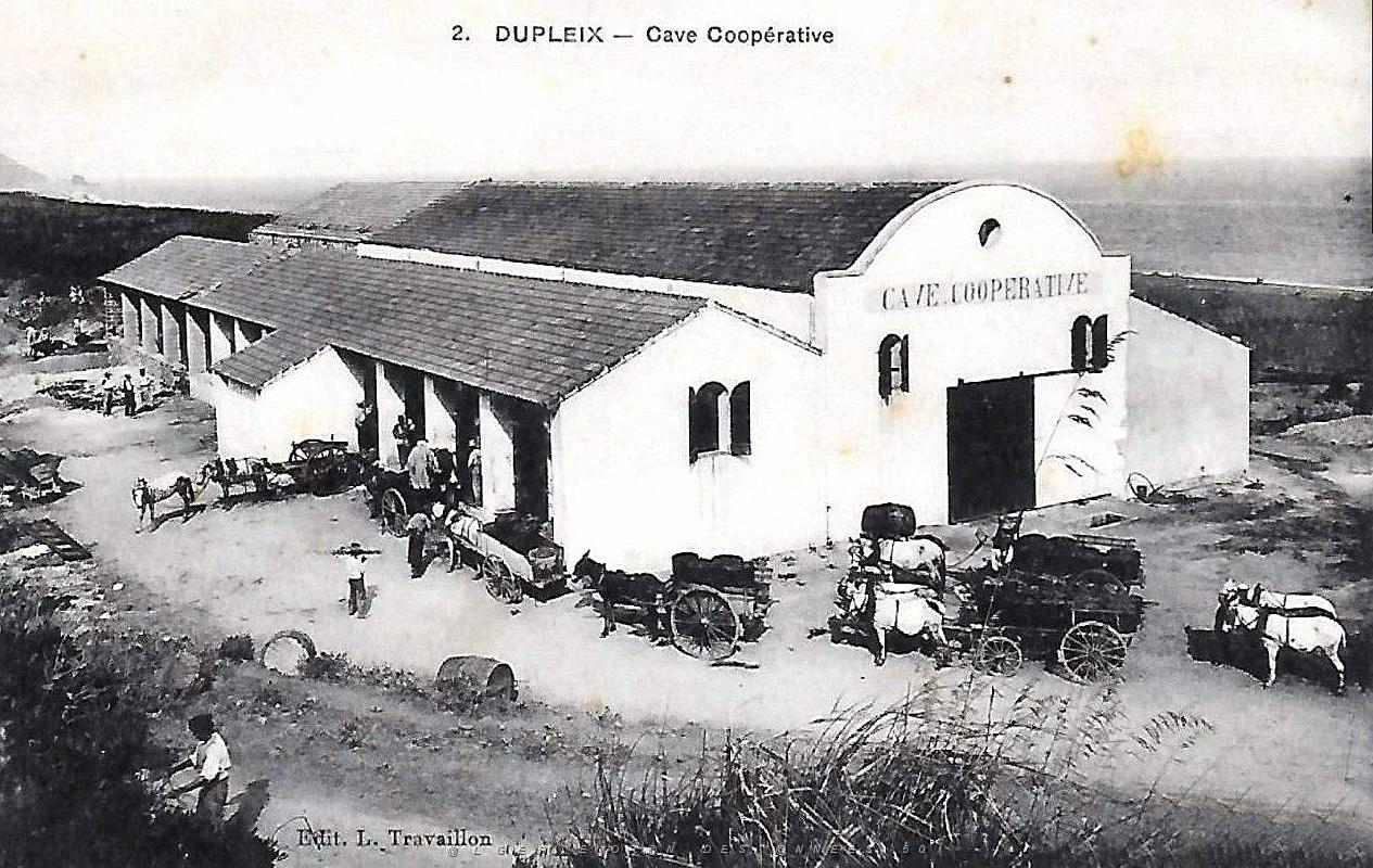 Dupleix - Cave Cooperative.jpg